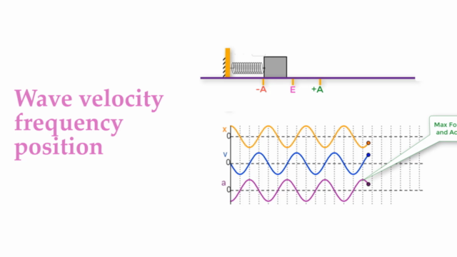 Physics: Simple Harmonic Motion, Waves & Sound (AP Physics) – Screenshot 1