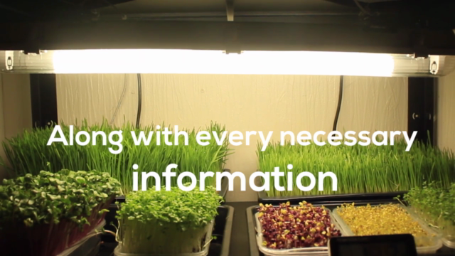 Learn To Grow Nutritious Microgreens Inside The House – Screenshot 3