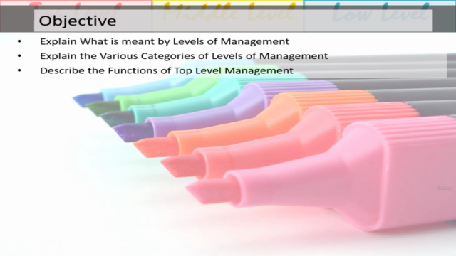 Levels of Management – Screenshot 2
