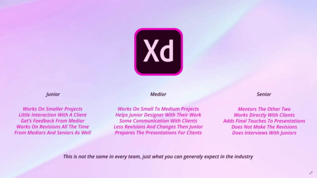 Adobe Xd - UI / UX Design, Prototype And Getting A Job – Screenshot 4