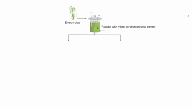 Scientific Presentation and Illustration for Busy Students – Screenshot 3