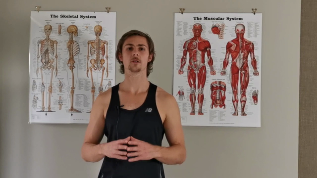 Principles of Posture - Explore Natural Human Movement – Screenshot 1