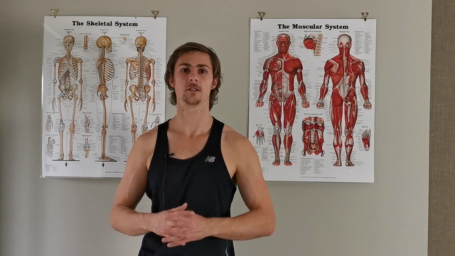 Principles of Posture - Explore Natural Human Movement – Screenshot 2
