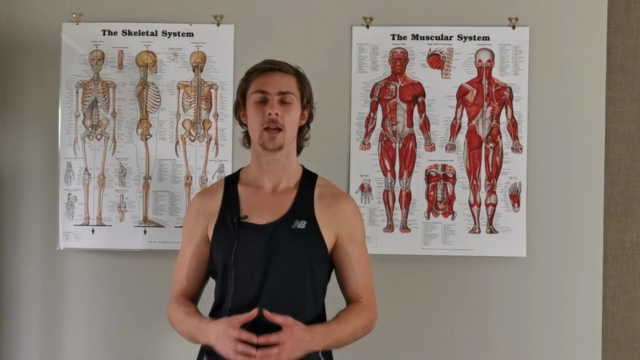Principles of Posture - Explore Natural Human Movement – Screenshot 4