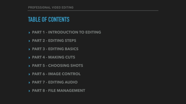 Professional Video Editing – Screenshot 2