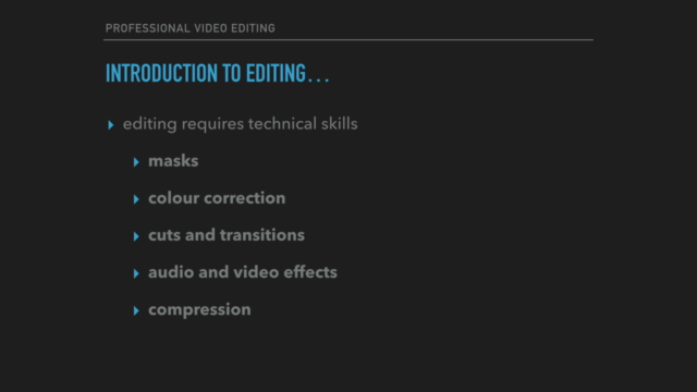 Professional Video Editing – Screenshot 4