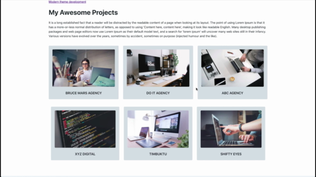 Modern Wordpress Theme Development – Screenshot 4