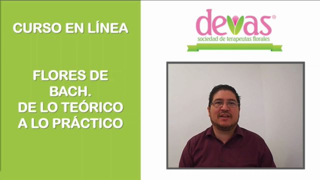 Flores de Bach, De lo Teórico a lo Práctico – Screenshot 1