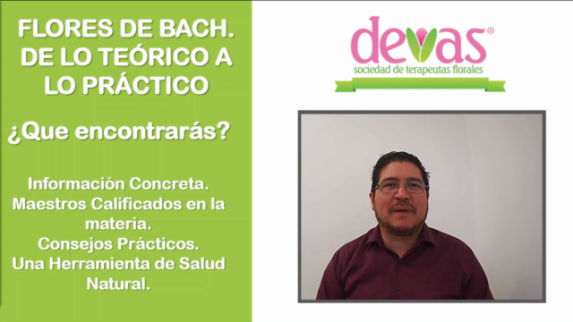Flores de Bach, De lo Teórico a lo Práctico – Screenshot 3