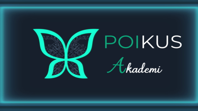 Python Selenium ile Tarayıcı Otomatize Etme – Screenshot 1