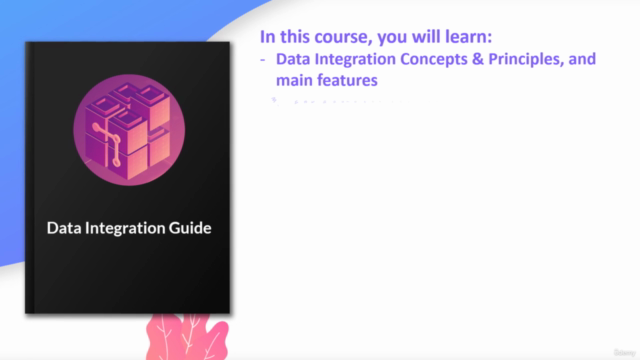 Data Integration Guide – Screenshot 3