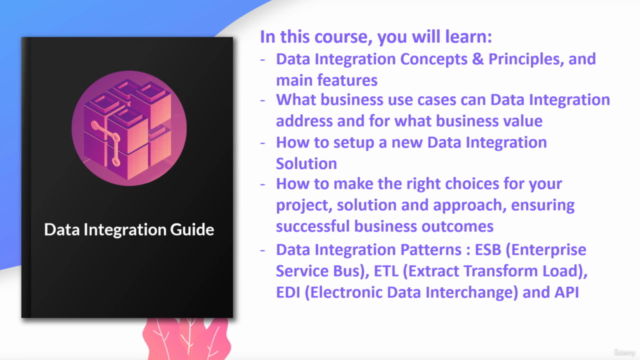 Data Integration Guide – Screenshot 4