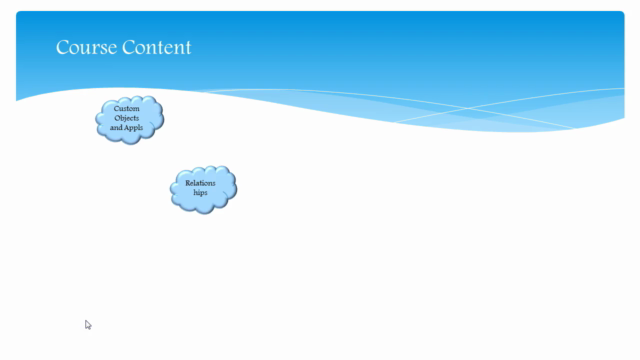 The Complete Salesforce Advanced Administrator Certification – Screenshot 2