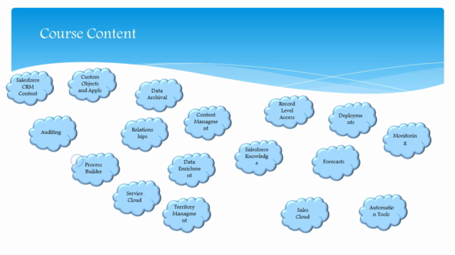 The Complete Salesforce Advanced Administrator Certification – Screenshot 4