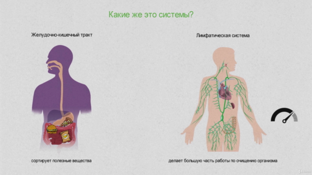 Неделя детокса: новая фигура – Screenshot 3