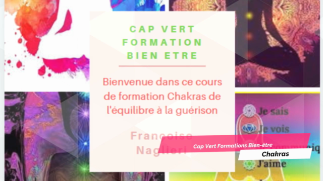 Chakras de l'équilibre à la guérison (1) + BONUS – Screenshot 1