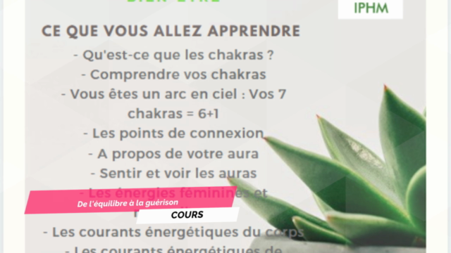 Chakras de l'équilibre à la guérison (1) + BONUS – Screenshot 2