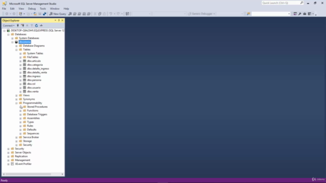 Desarrolla Sistemas en C# .Net - 4 capas con SQL Server – Screenshot 1