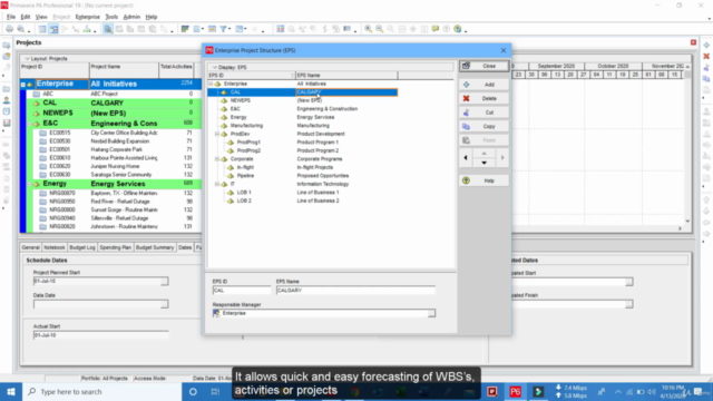 Learn Primavera P6 from Scratch and become an Expert – Screenshot 2