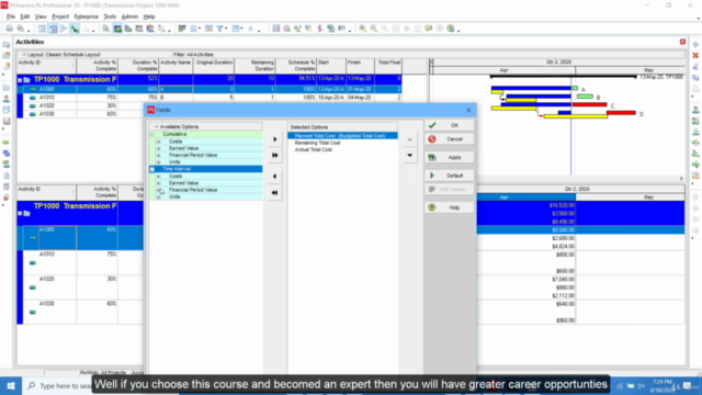Learn Primavera P6 from Scratch and become an Expert – Screenshot 3