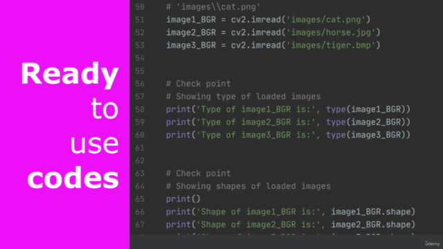 Convolutional Neural Networks for Image Classification – Screenshot 4