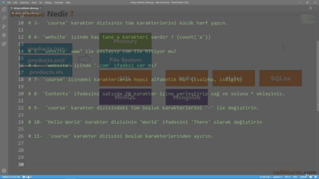Python ile Sıfırdan İleri Seviye Programlama – Screenshot 2