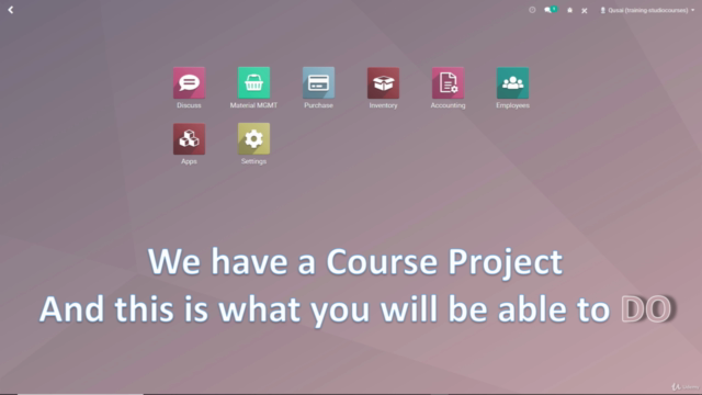 Master Odoo Studio – Screenshot 2