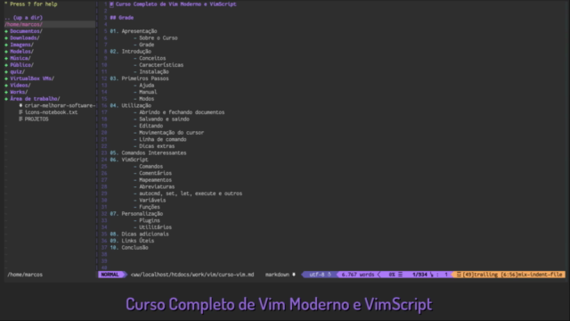 Curso de Vim Moderno, VimScript e Neovim com Lua – Screenshot 2