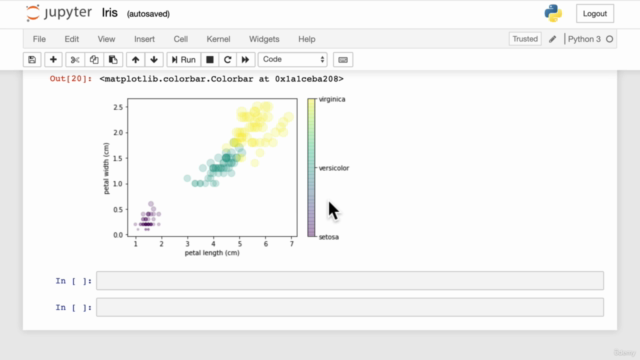 The Complete Python Developer – Screenshot 2