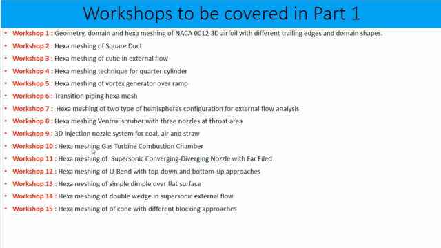 ICEMCFD Master Class (Level 1) – Screenshot 2