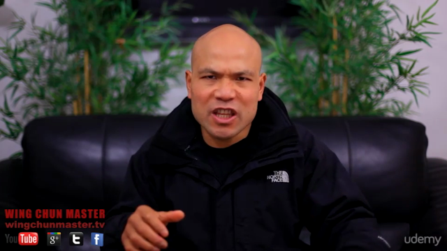 Wing Chun Self defence - Intermediate – Screenshot 2
