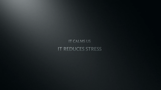 Seated Tai Chi – Screenshot 2