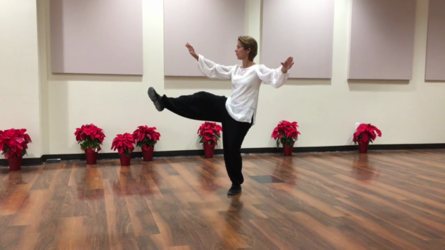Seated Tai Chi – Screenshot 4