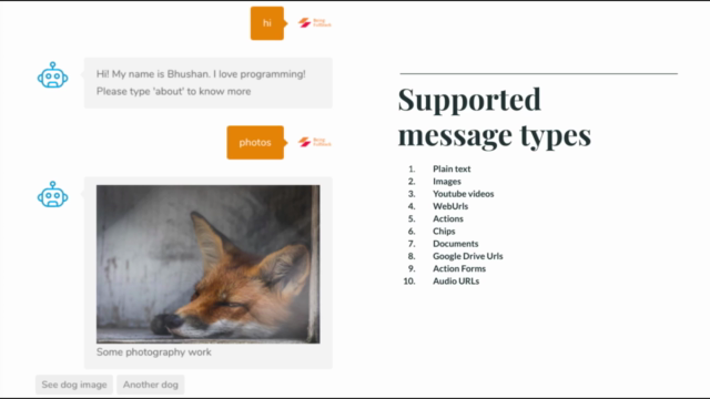 Rich message Business Chatbots in Angular 8 with Dialogflow – Screenshot 4