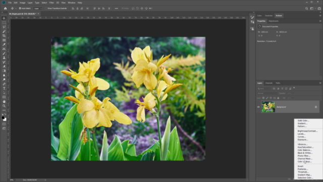 Introduction to Photoshop | Beginner to Master – Screenshot 1