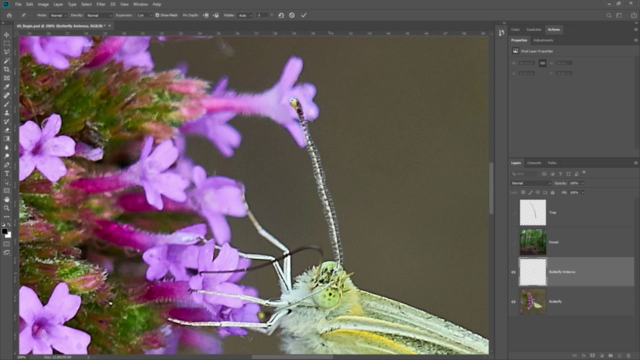 Introduction to Photoshop | Beginner to Master – Screenshot 4