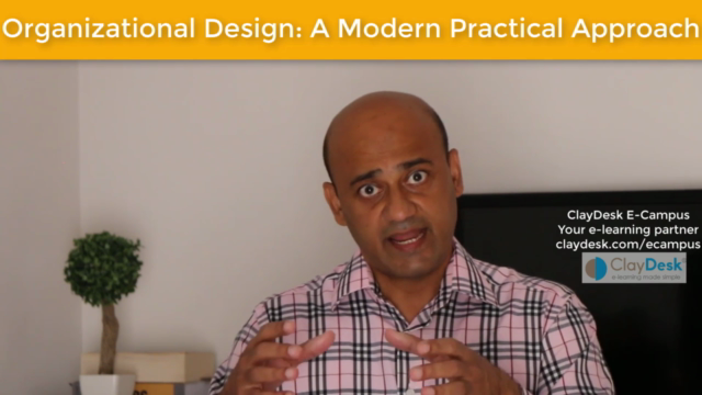 Organizational Design: A Modern Practical Approach – Screenshot 1