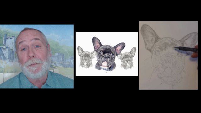 Watercolour color painting. Portrait of a French bulldog. - Screenshot_01