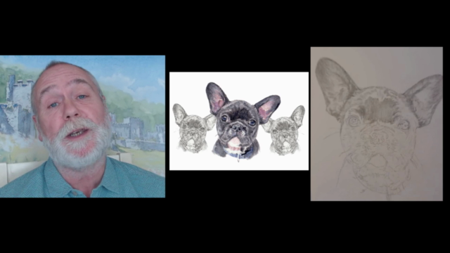 Watercolour color painting. Portrait of a French bulldog. - Screenshot_02