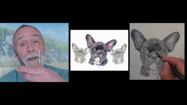 Watercolour color painting. Portrait of a French bulldog. - Screenshot_03