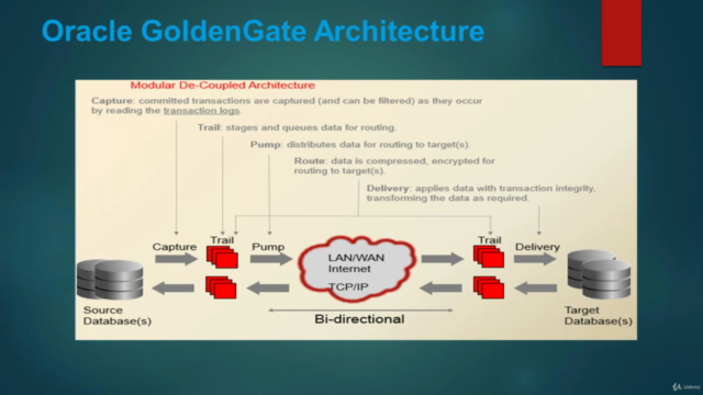 Oracle Goldengate Microservices 19c - Screenshot_01