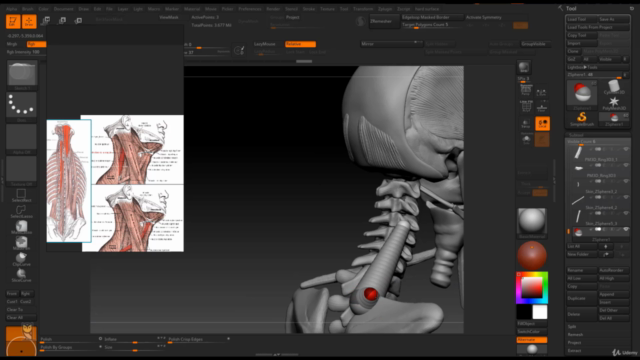 Female Anatomy Sculpting in Zbrush – Screenshot 3