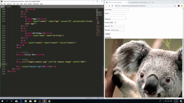 HTML5 Coding from Scratch - Build Your Own Website – Screenshot 3