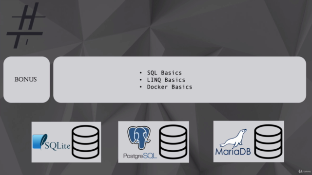 Entity Framework (EF) core Komplettkurs: Datenzugriff mit C# – Screenshot 4