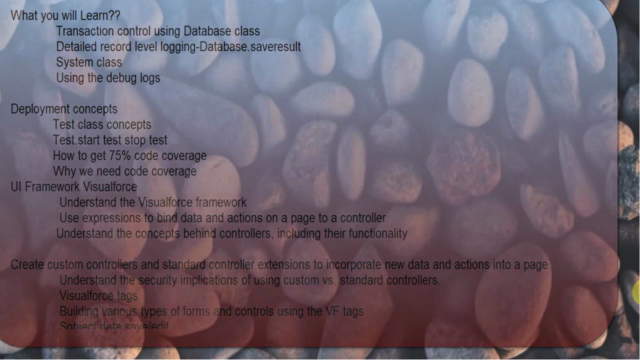 Salesforce developer training Salesforce Tutorials – Screenshot 3