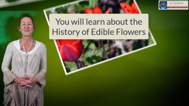 Accredited Herbalism Course - Incredible Edible Flowers – Screenshot 2