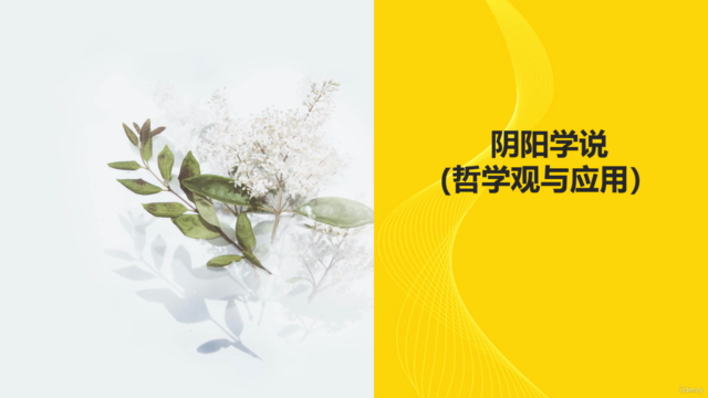 黄帝内经 :阴阳学说 (哲学观与应用) – Screenshot 1
