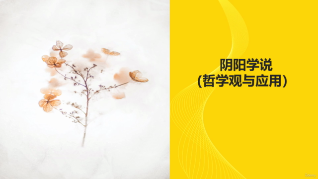 黄帝内经 :阴阳学说 (哲学观与应用) – Screenshot 2