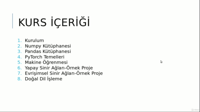 PyTorch ile Derin Öğrenme – Screenshot 1