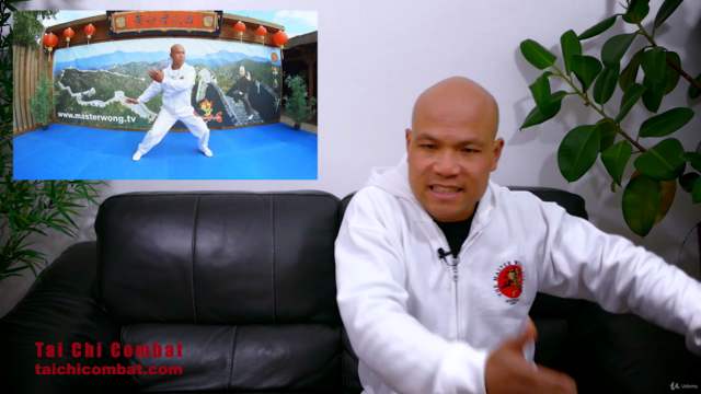 Tai Chi Combat – Screenshot 2